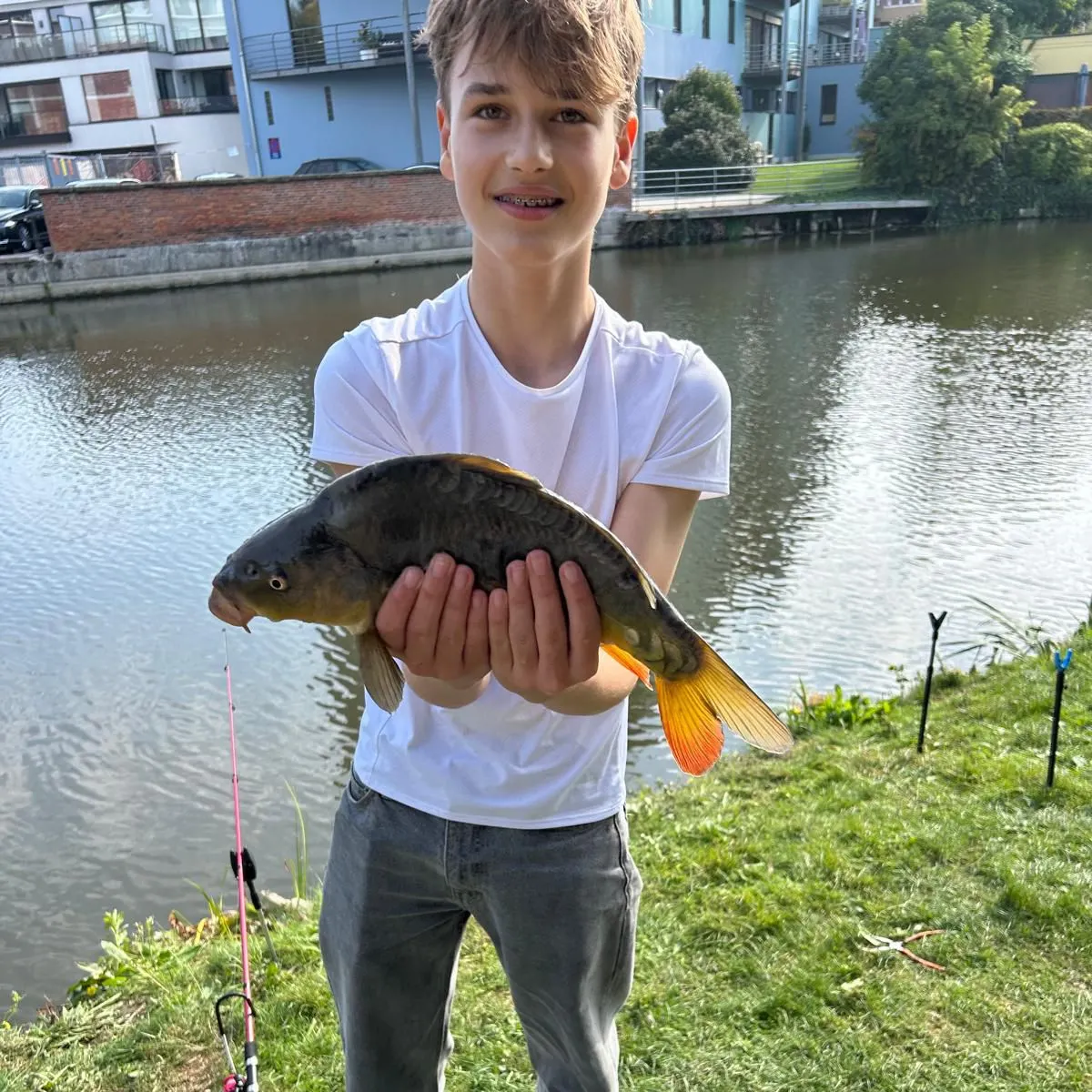 Leather carp caught on Fishbrain