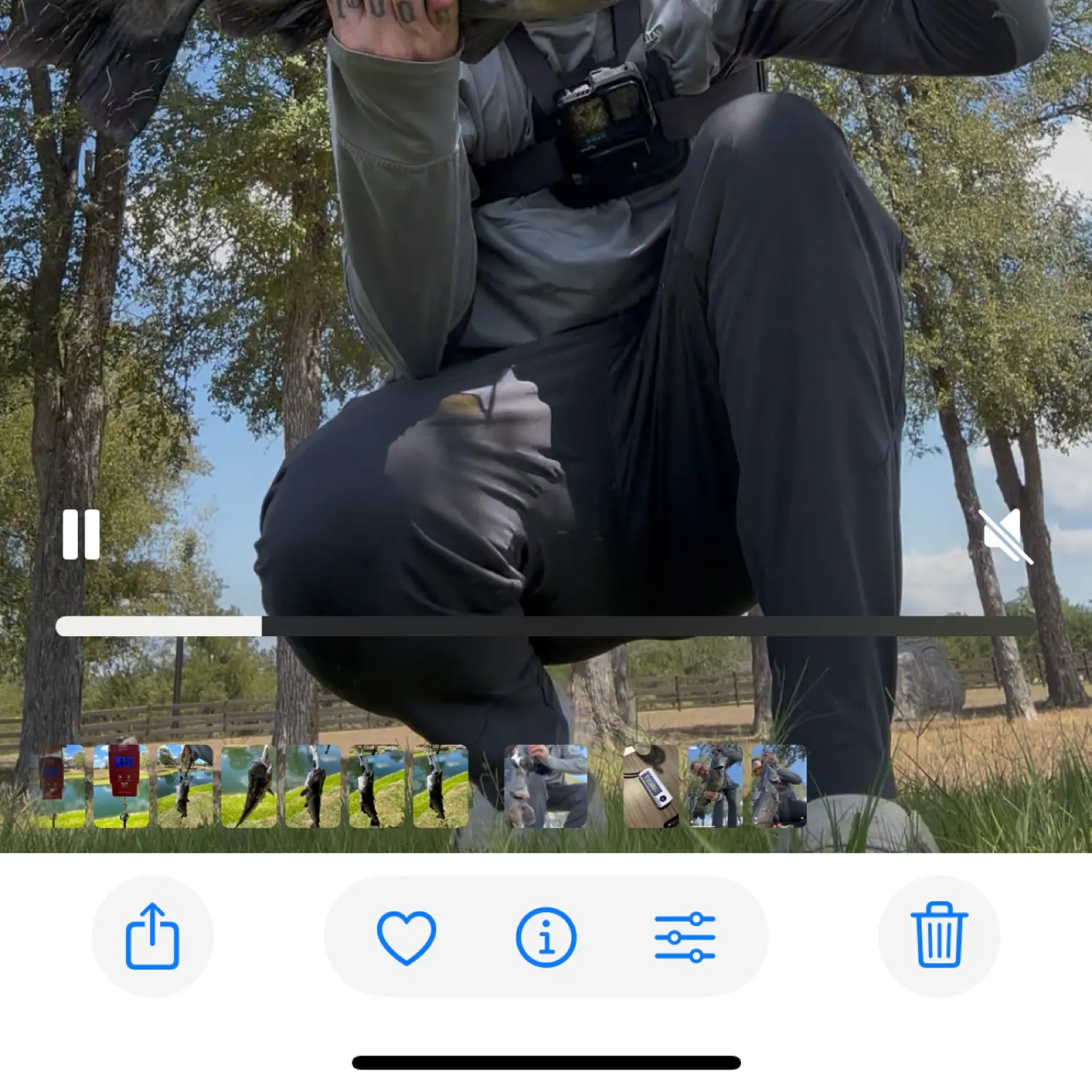 recently logged catches