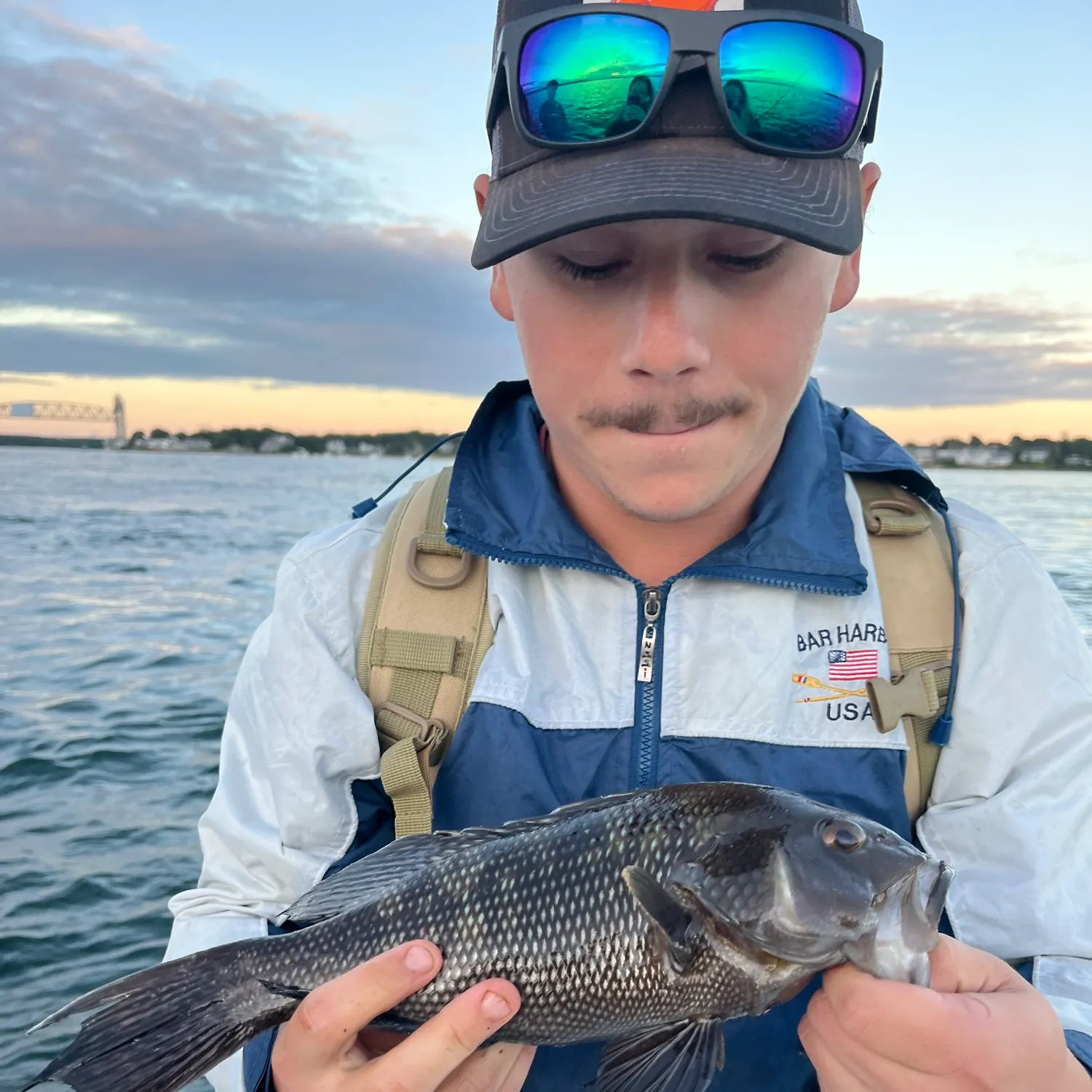 Black sea bass caught on Fishbrain