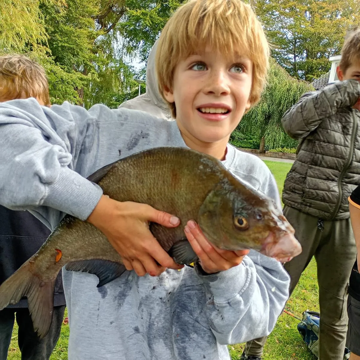 Common bream caught on Fishbrain