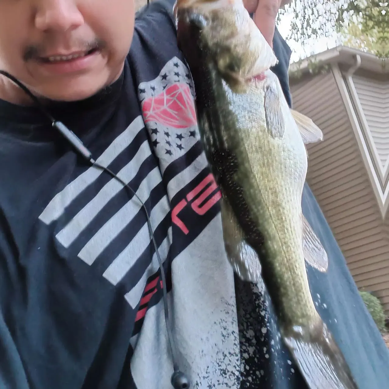Largemouth bass caught on Fishbrain