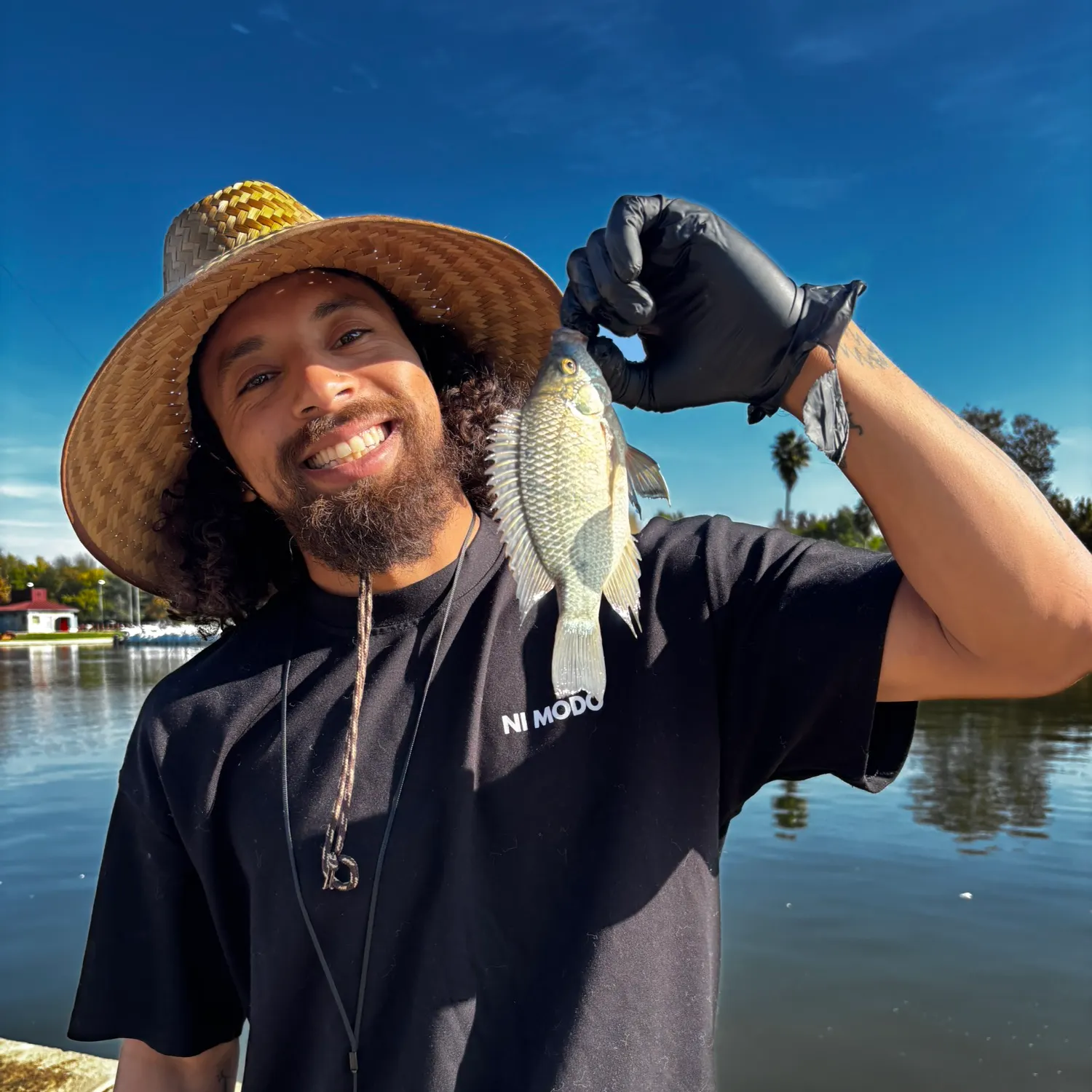 The most recent Blue tilapia catches on Fishbrain