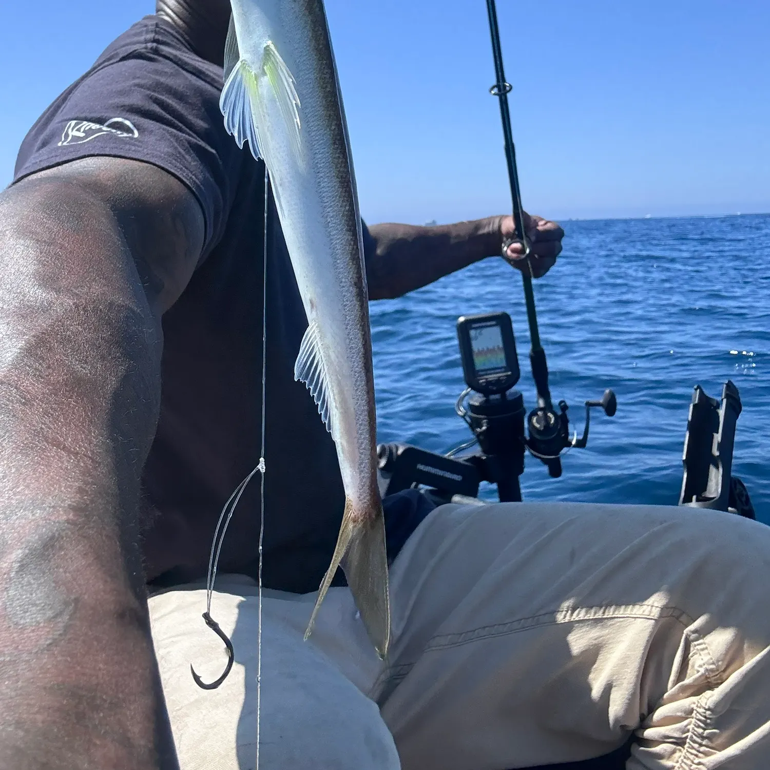 The most recent Inshore lizardfish catches on Fishbrain