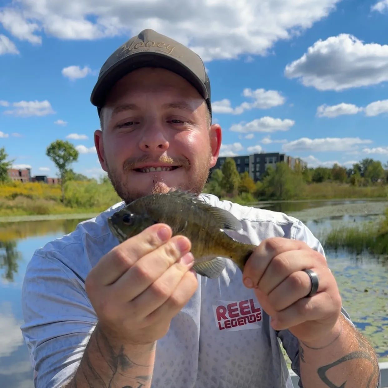 Bluegill caught on Fishbrain