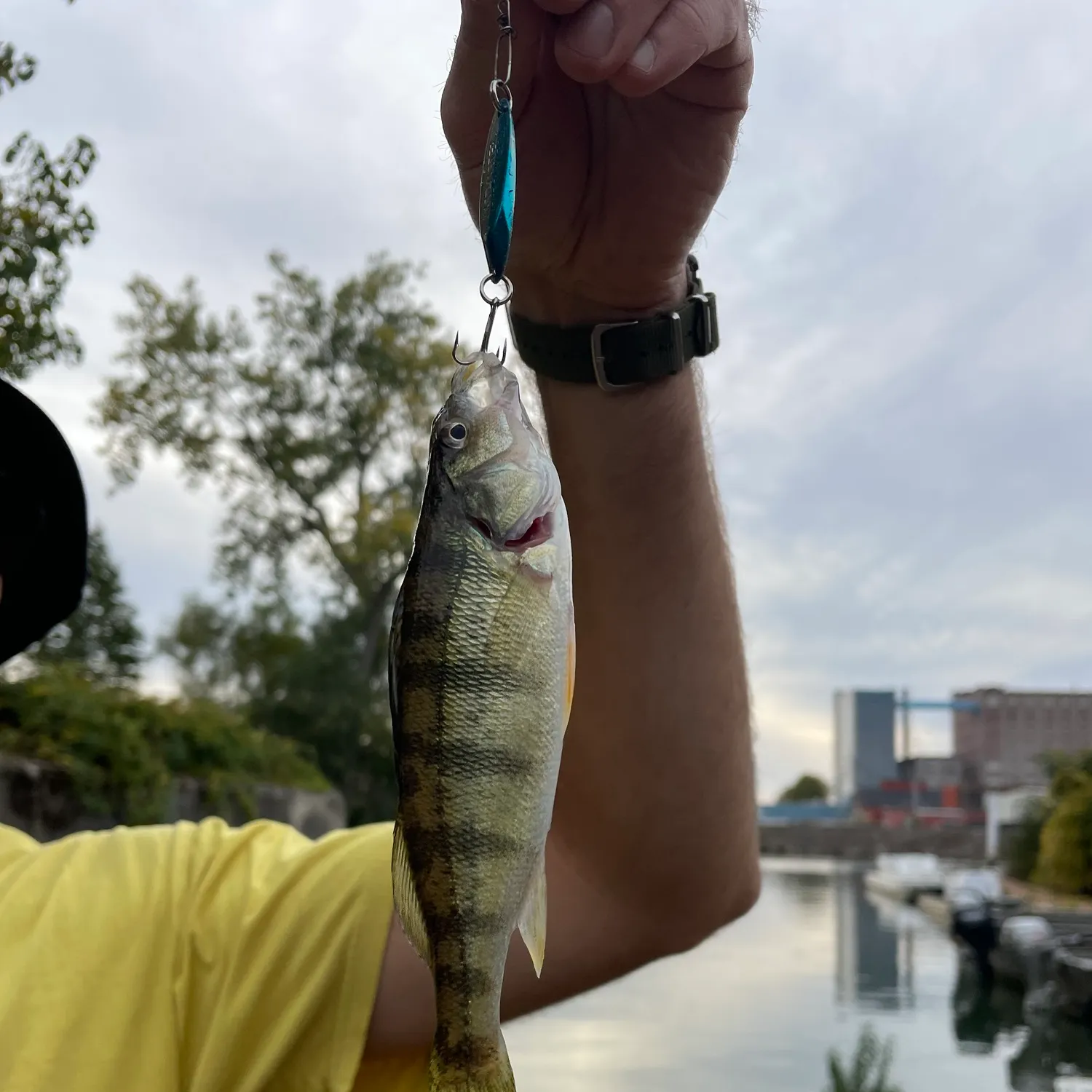 catch