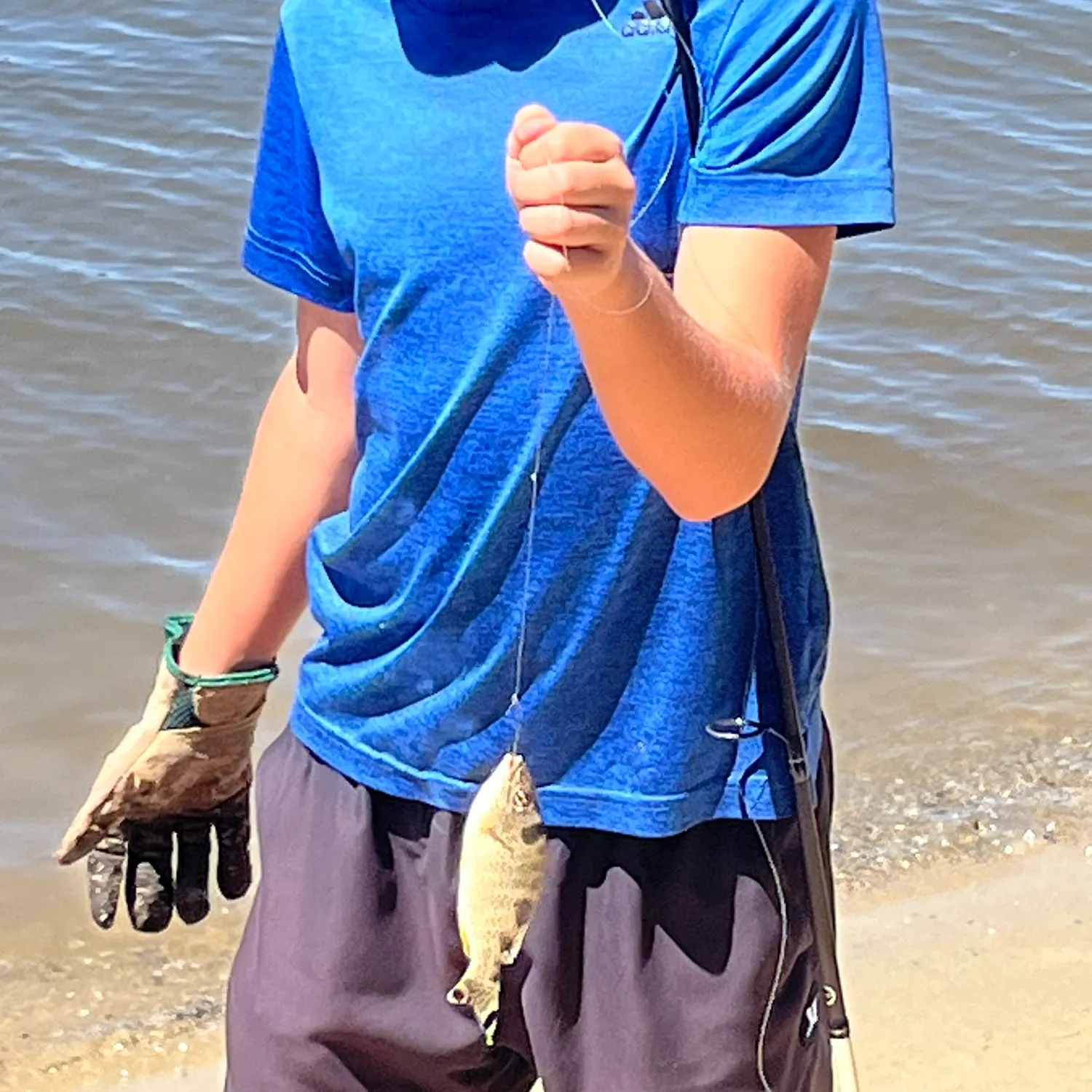 The most recent Yellowtail Grunter catches on Fishbrain