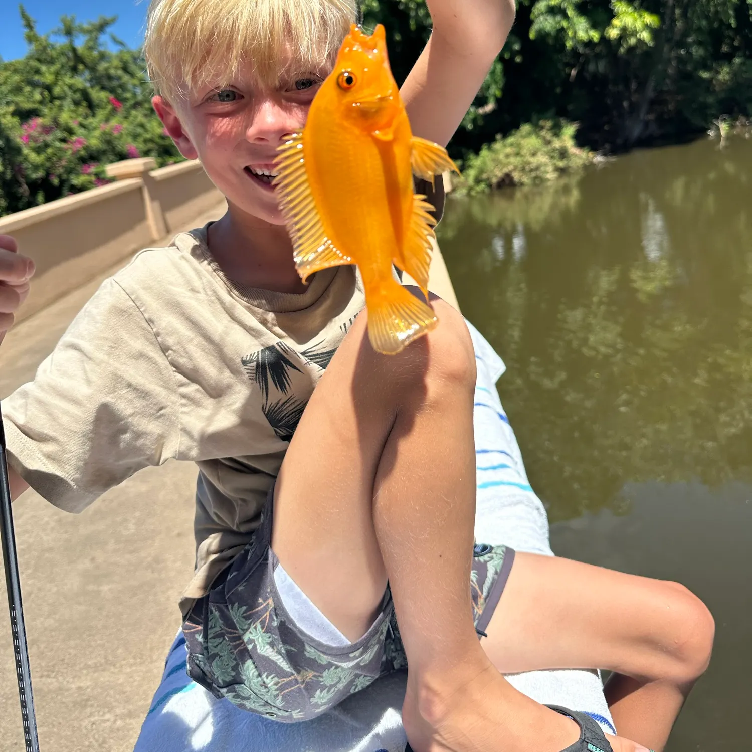Goldfish caught on Fishbrain