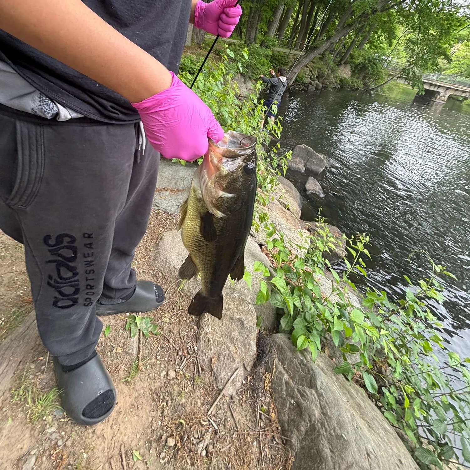 catch