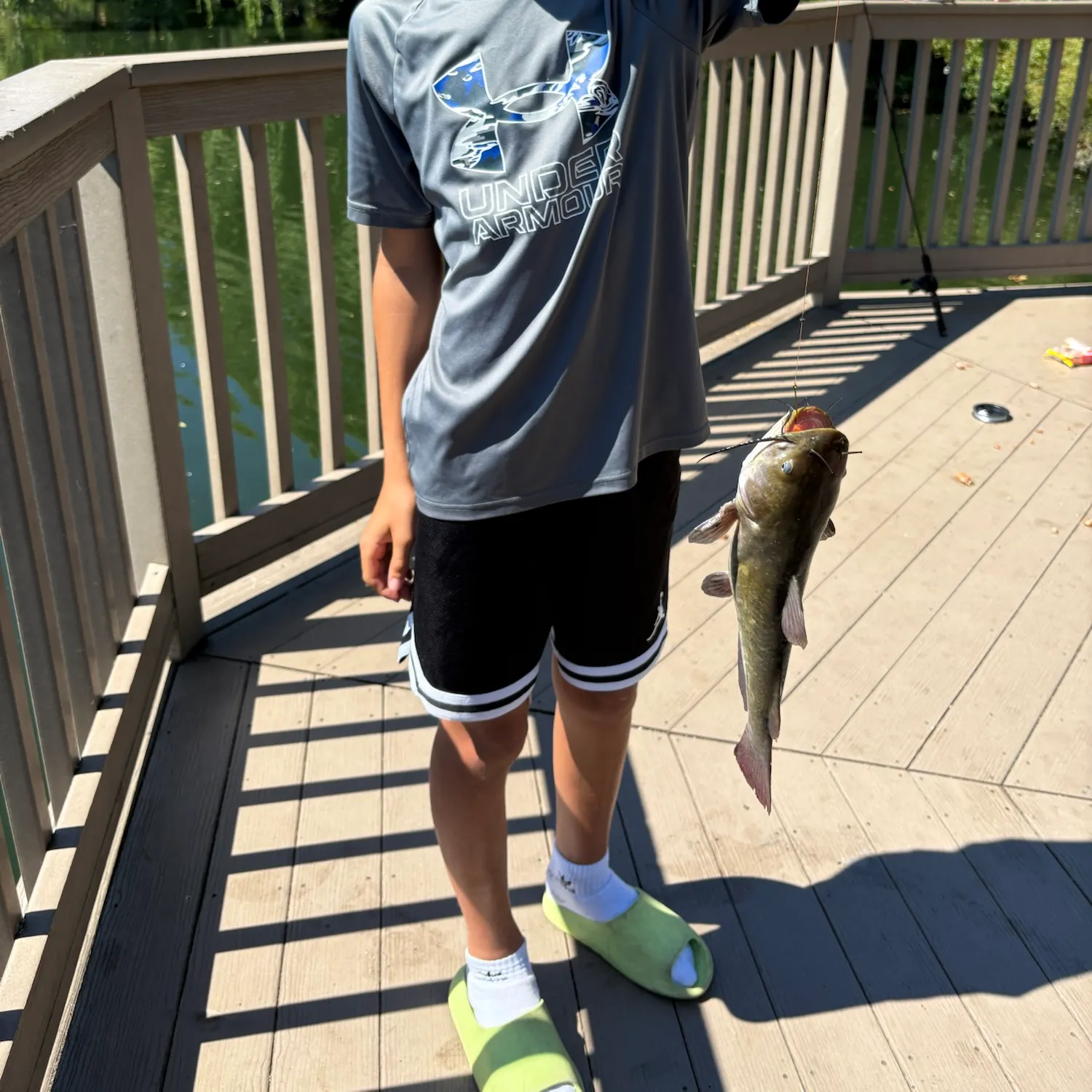 Black bullhead caught on Fishbrain
