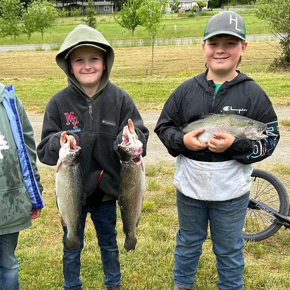 Rainbow trout caught on Fishbrain