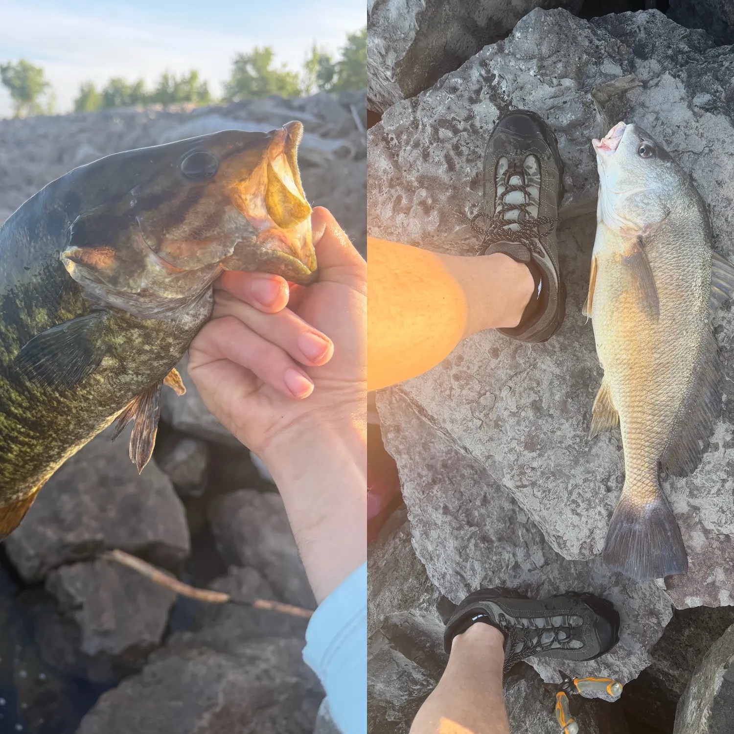 catch