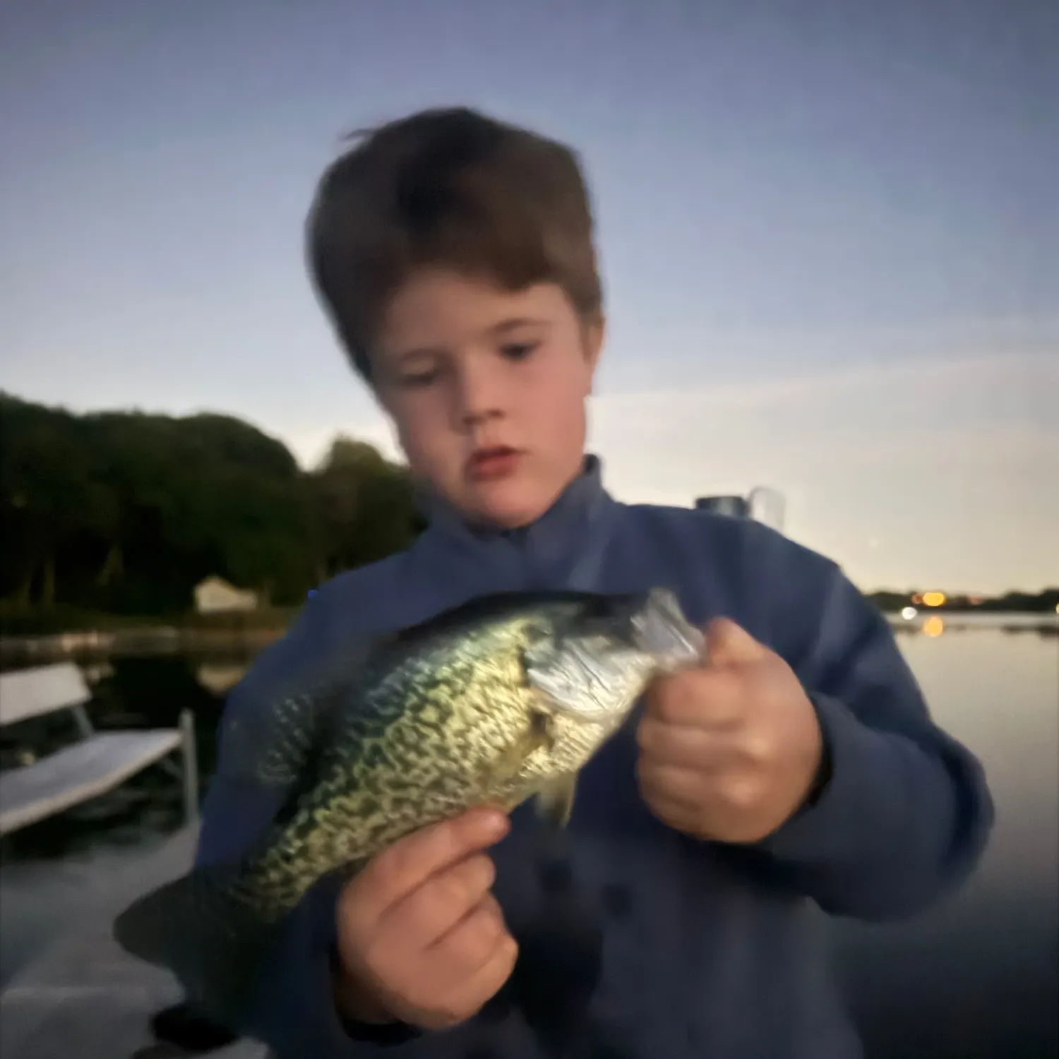 Black crappie caught on Fishbrain