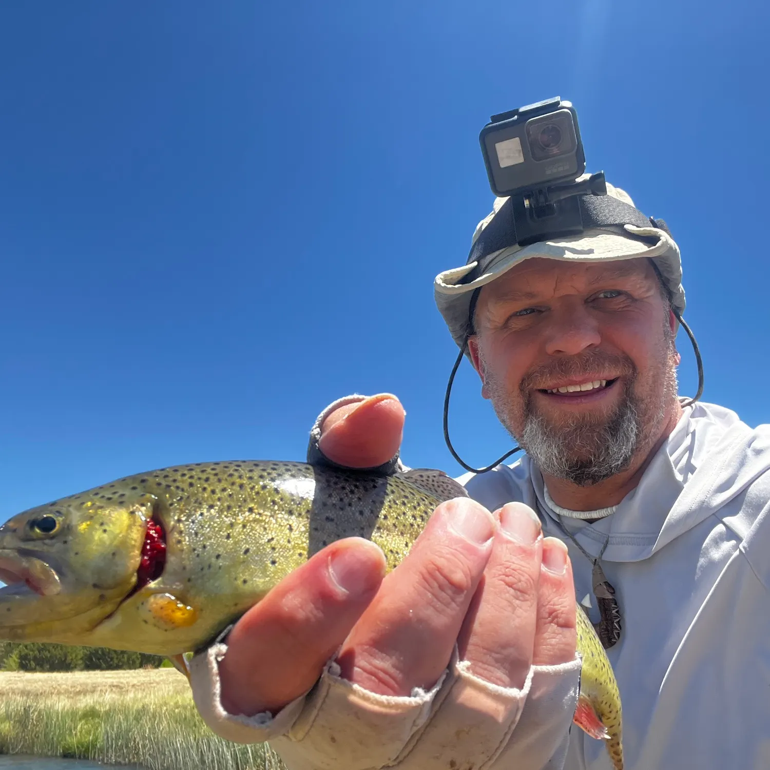 most liked catch image