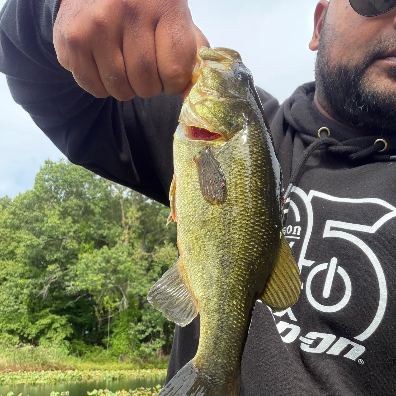 Largemouth bass caught on Fishbrain