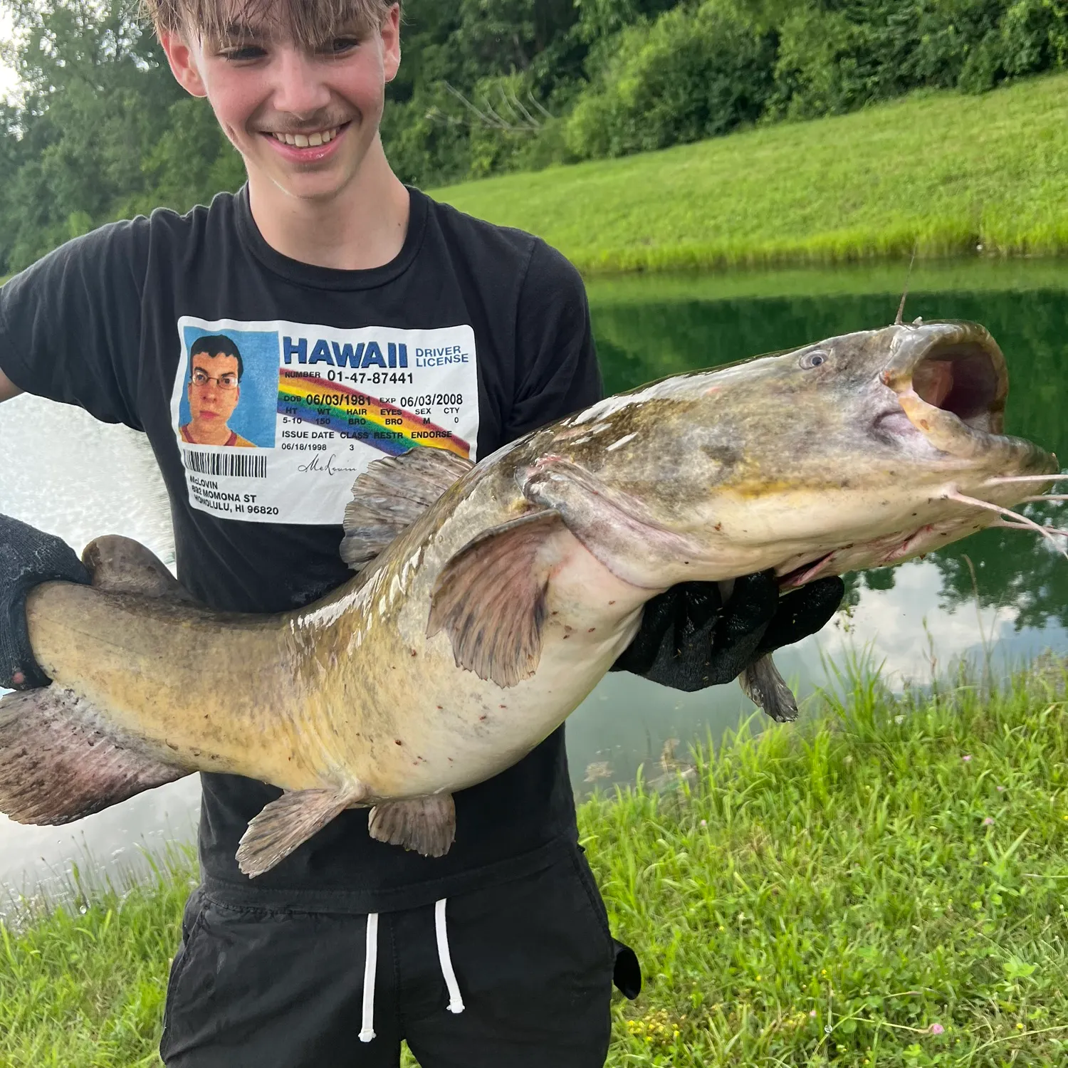 The most recent Flathead catfish catches on Fishbrain