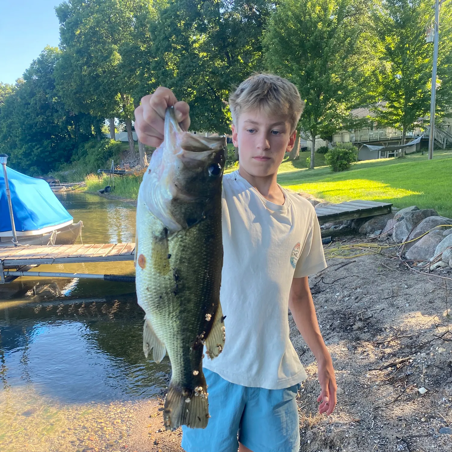 Largemouth bass caught on Fishbrain