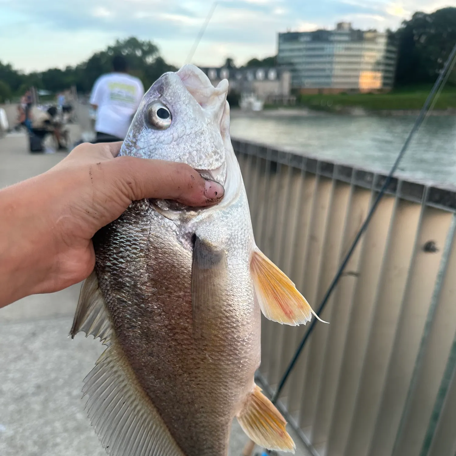 catch