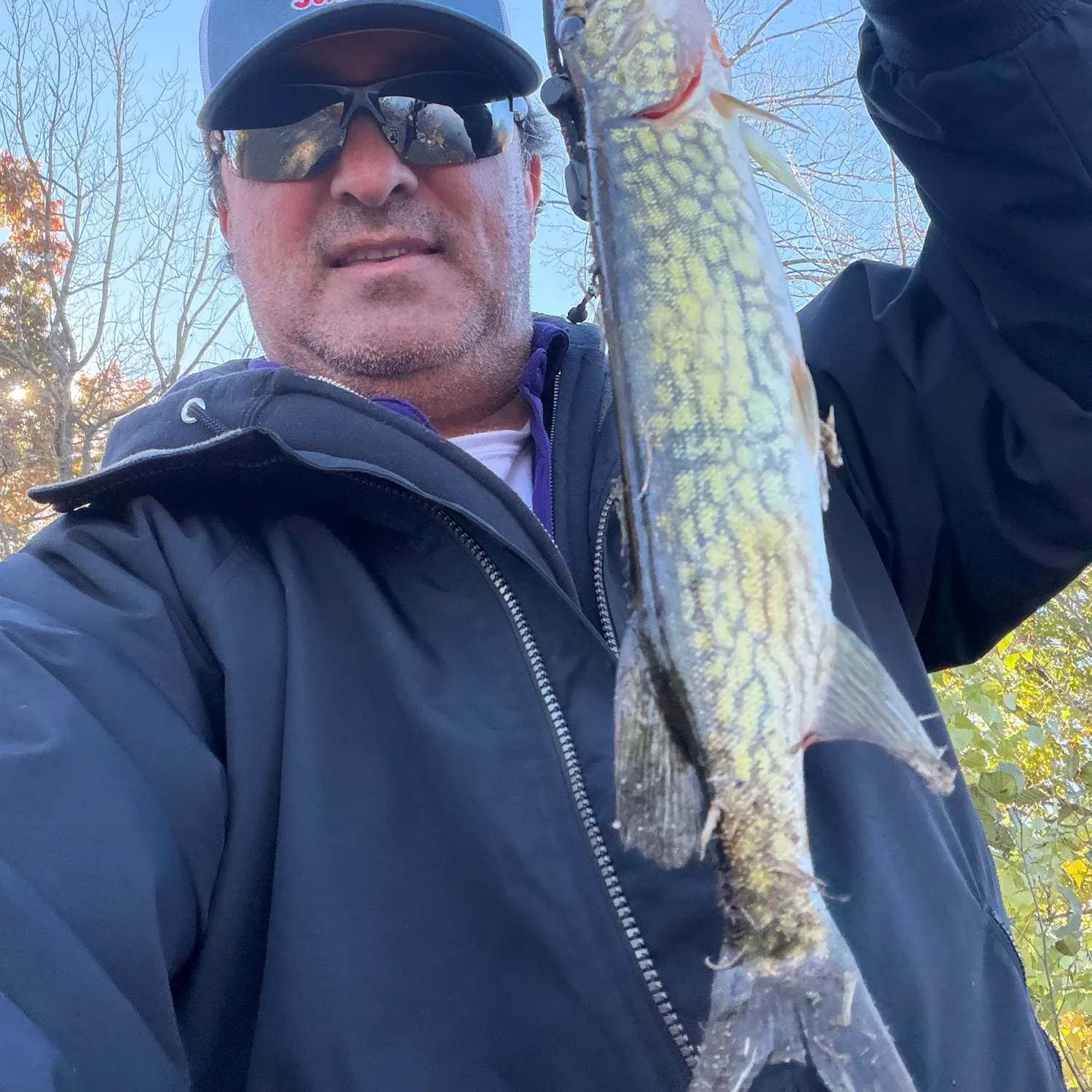 Chain pickerel caught on Fishbrain
