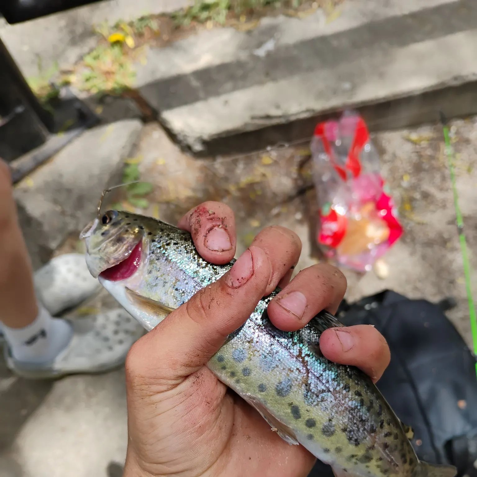 catch