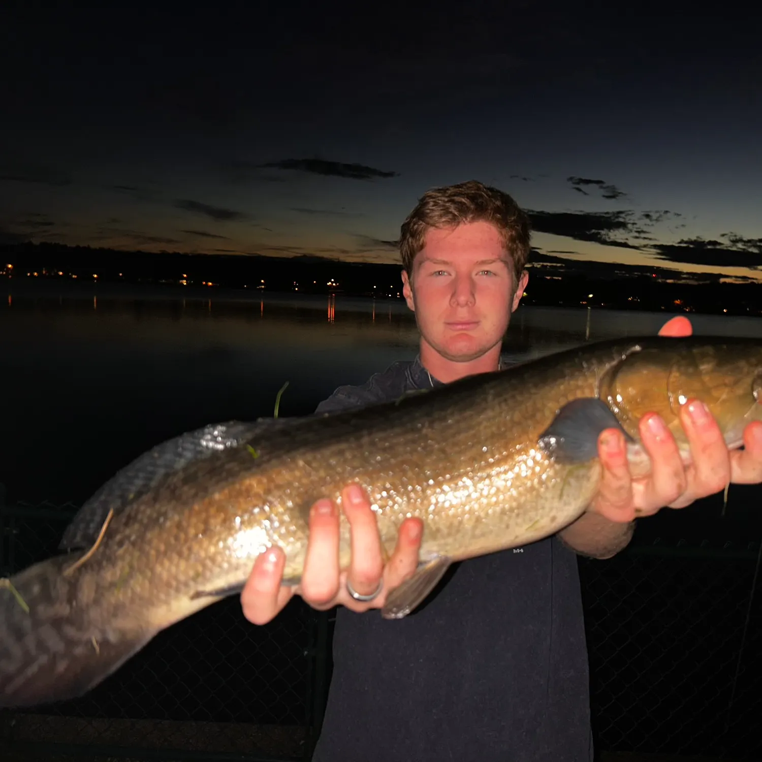 Eyetail bowfin caught on Fishbrain