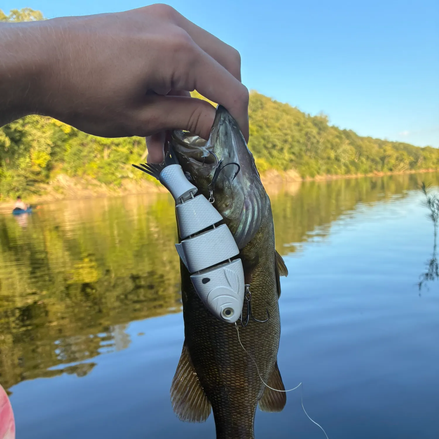 Smallmouth bass caught on Fishbrain
