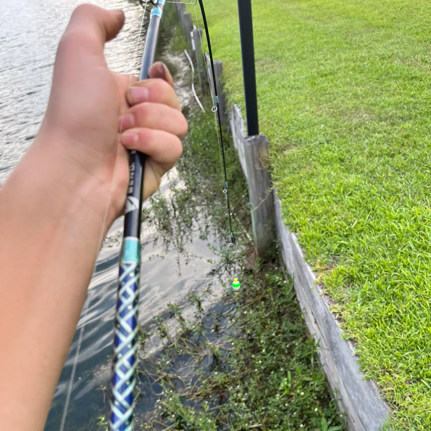 The most recent Texas cooter turtle catches on Fishbrain