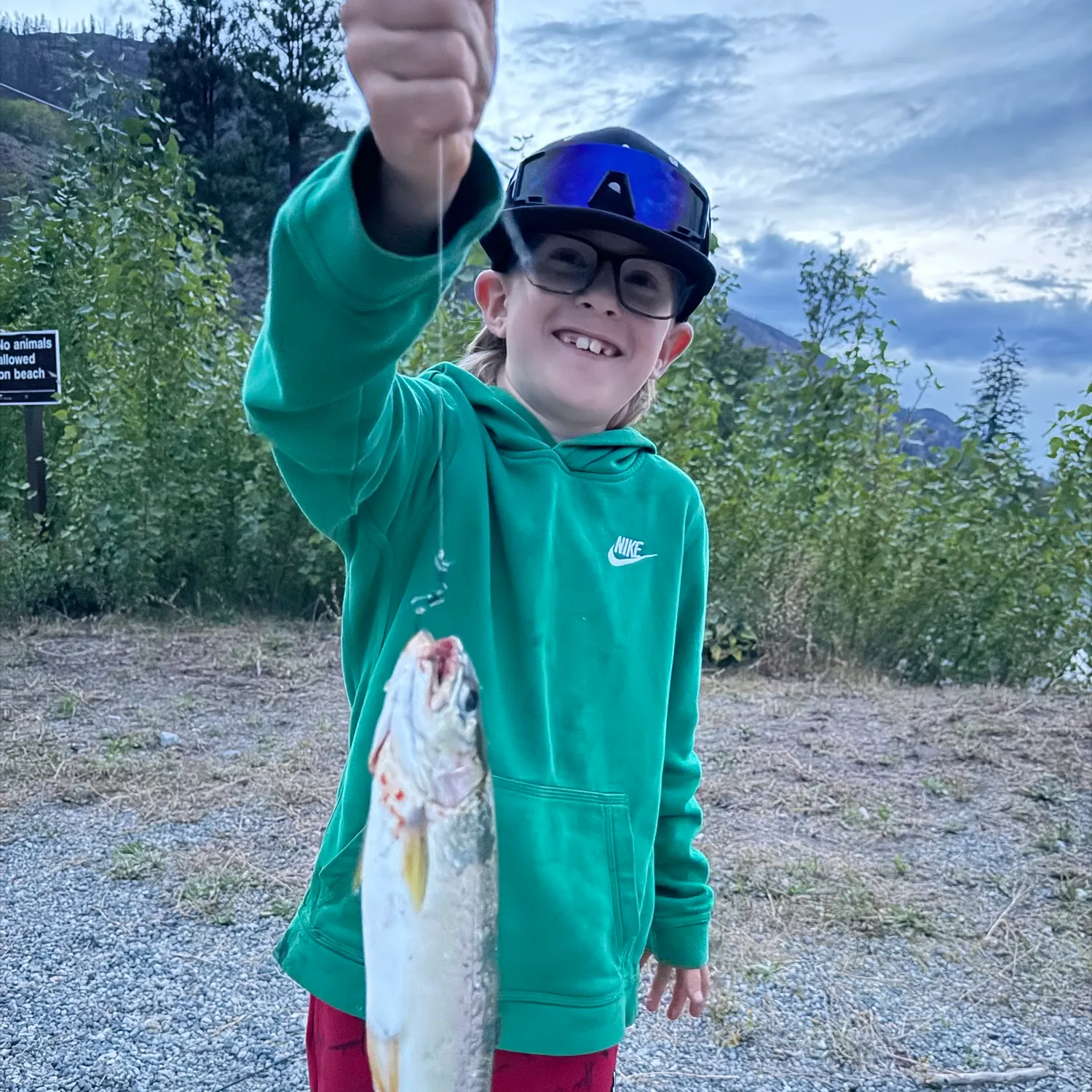 Rainbow trout caught on Fishbrain