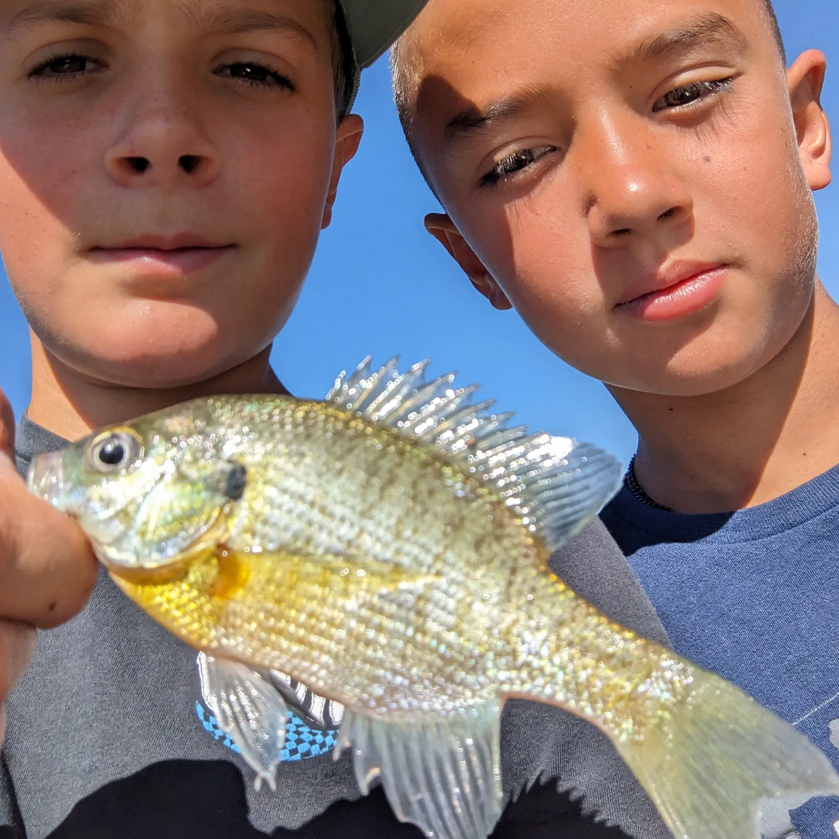most liked catch image