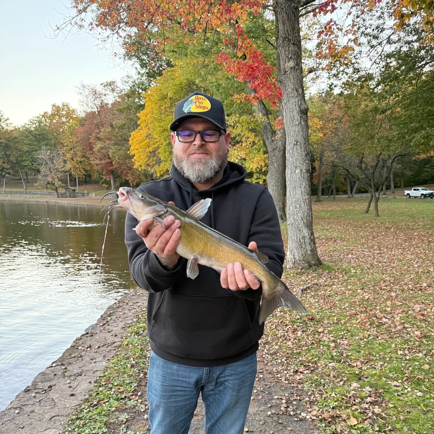 Channel catfish caught on Fishbrain