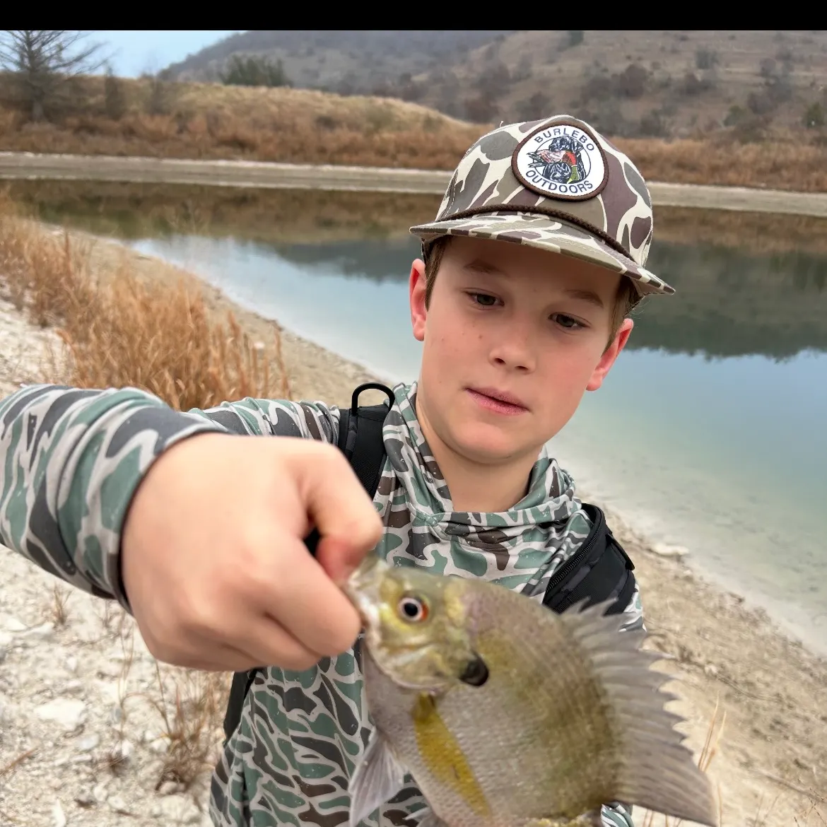 The most recent Bluegill catches on Fishbrain