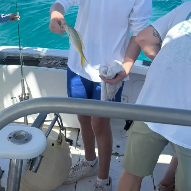 The most recent Yellowtail snapper catches on Fishbrain