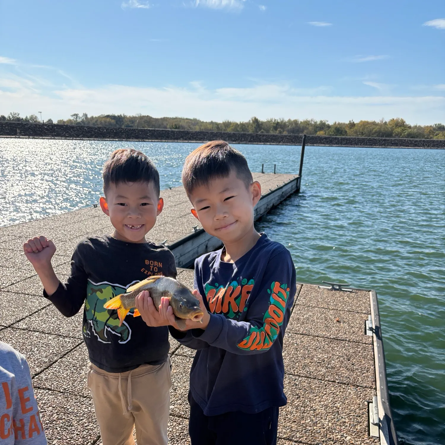 Common carp caught on Fishbrain