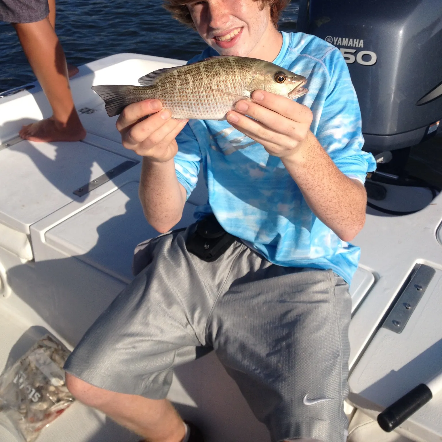 The most recent Mangrove snapper catches on Fishbrain