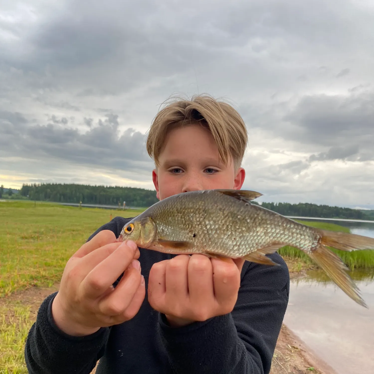 The most recent Common bream catches on Fishbrain