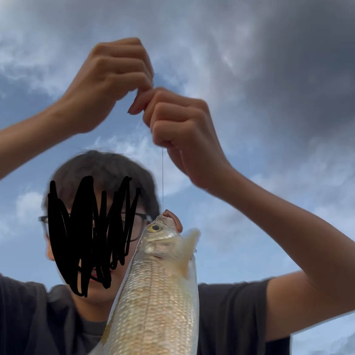 Mountain whitefish caught on Fishbrain