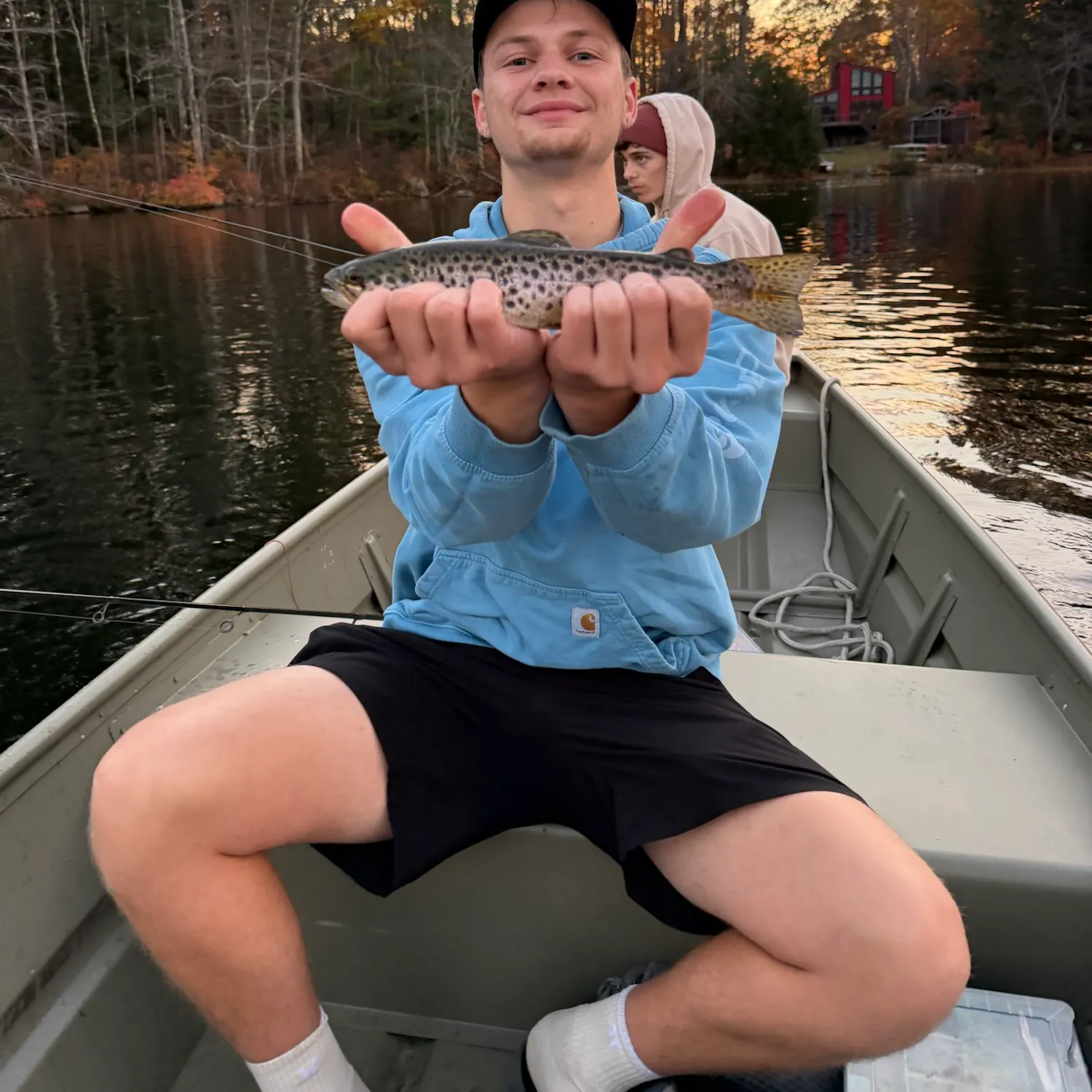 Brown trout caught on Fishbrain