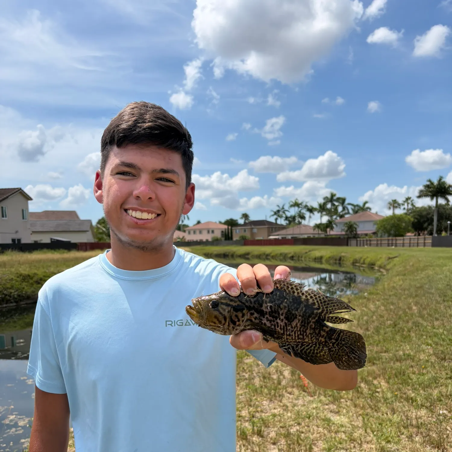 The most recent Jaguar cichlid catches on Fishbrain