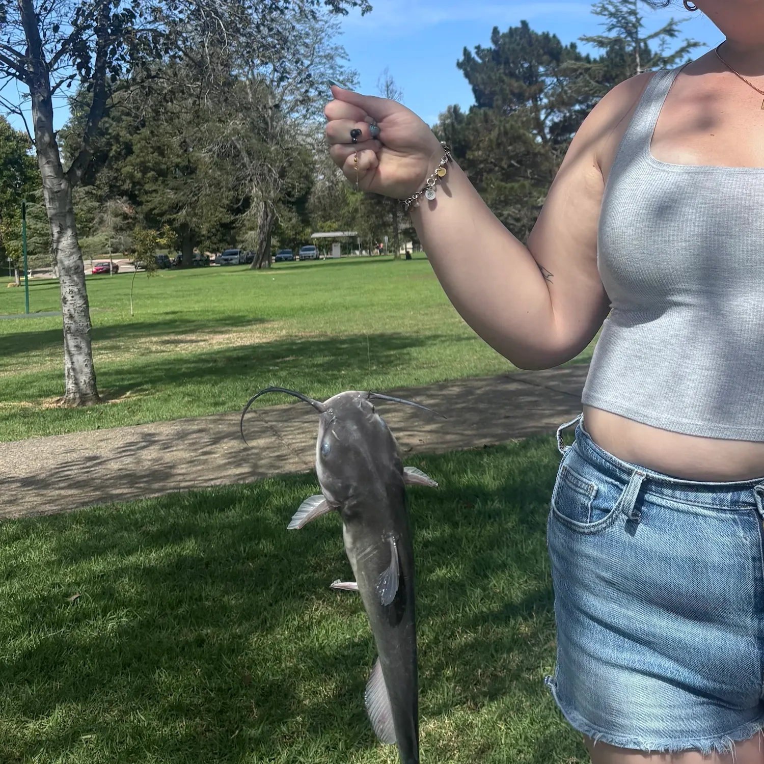 Channel catfish caught on Fishbrain