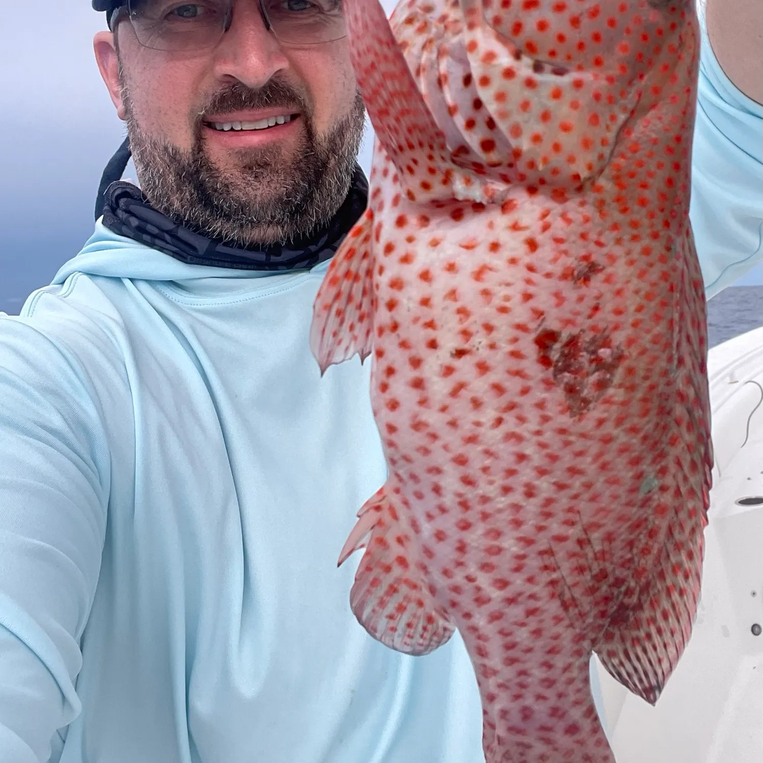The most recent Red hind grouper catches on Fishbrain