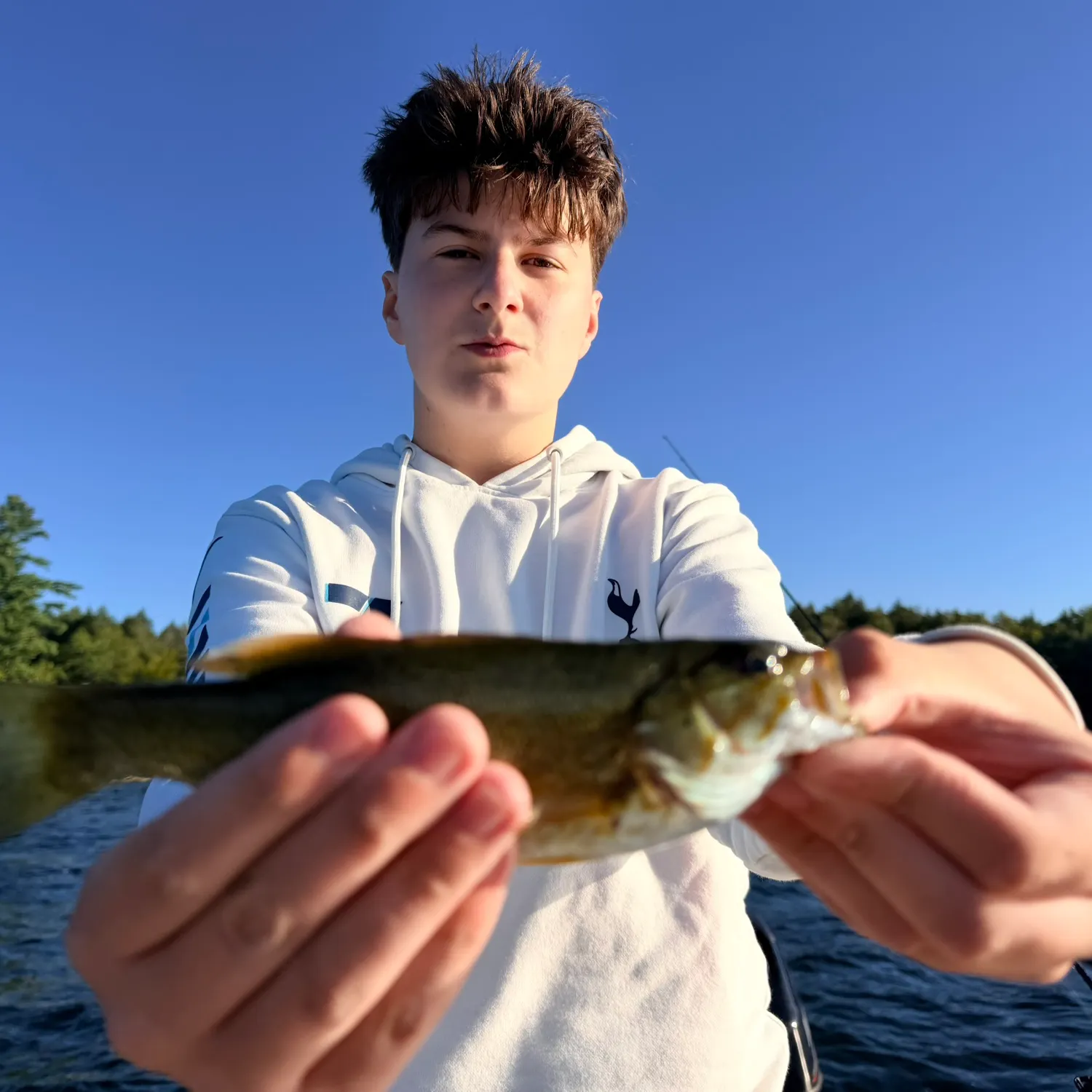 Smallmouth bass caught on Fishbrain