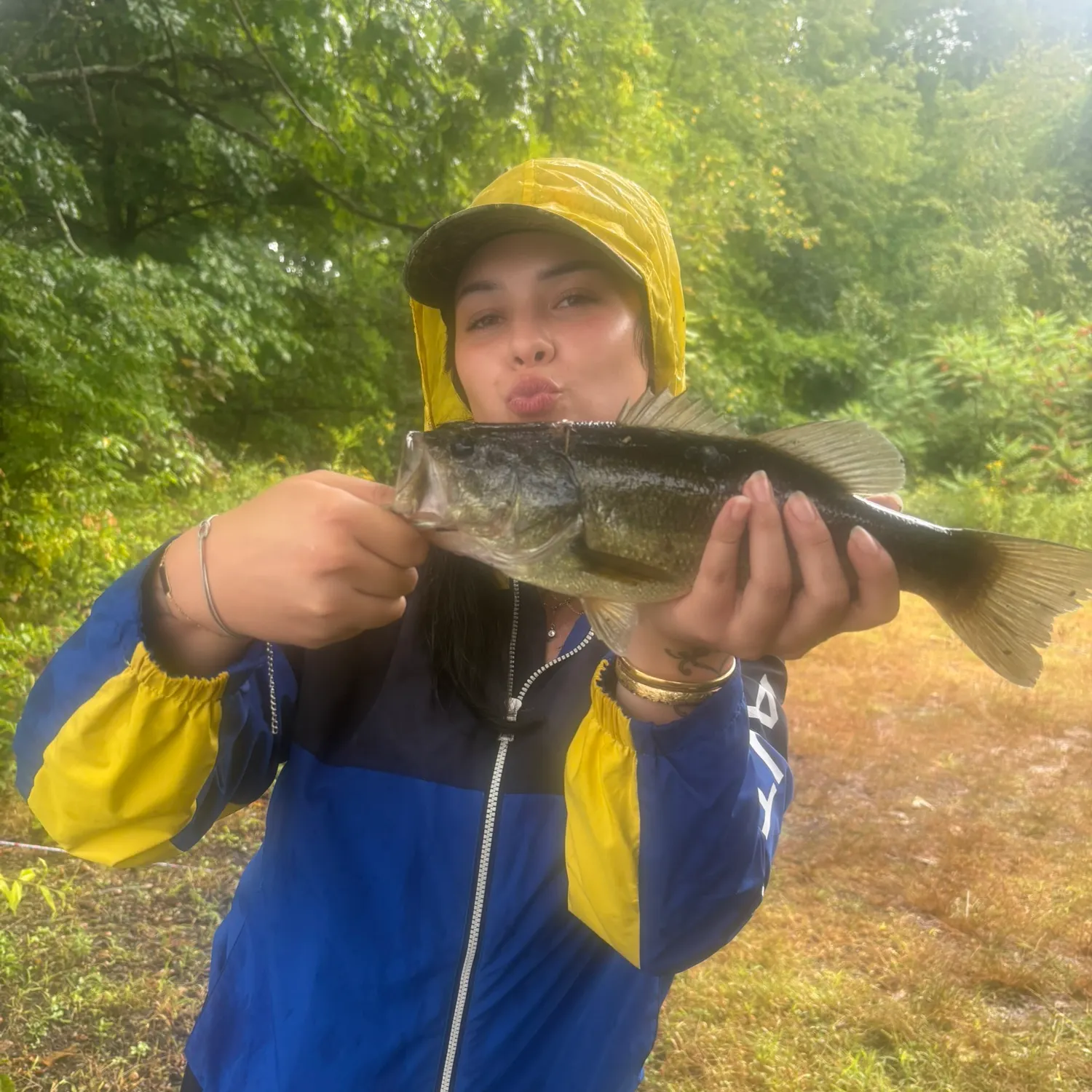 The most recent Largemouth bass catches on Fishbrain