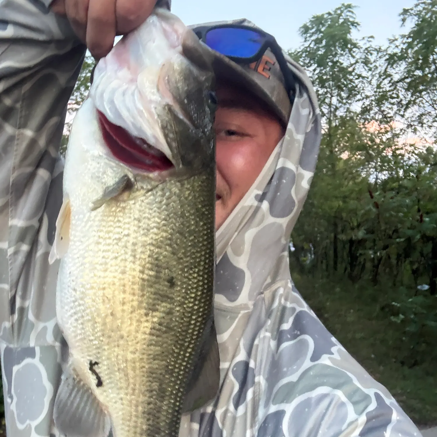 Largemouth bass caught on Fishbrain