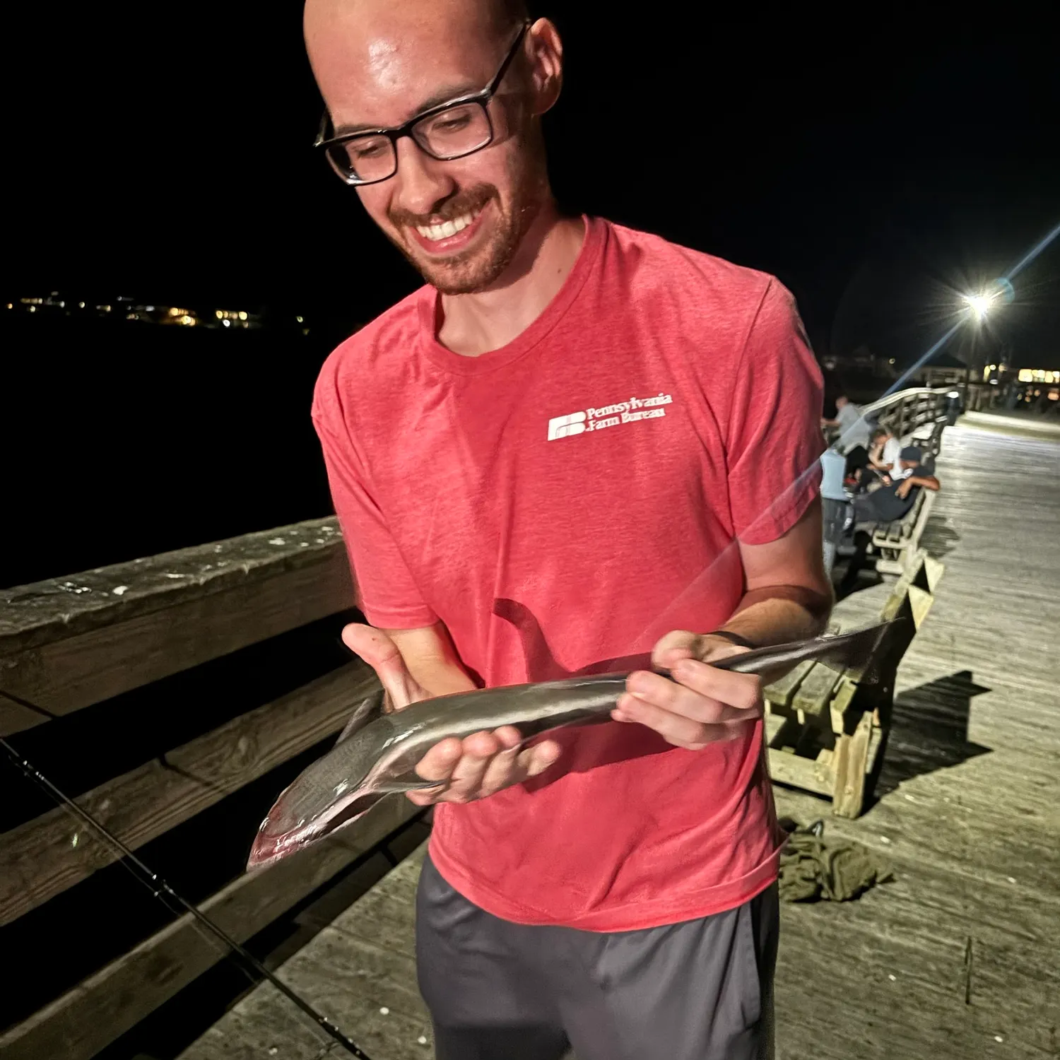 Live sharksucker caught on Fishbrain