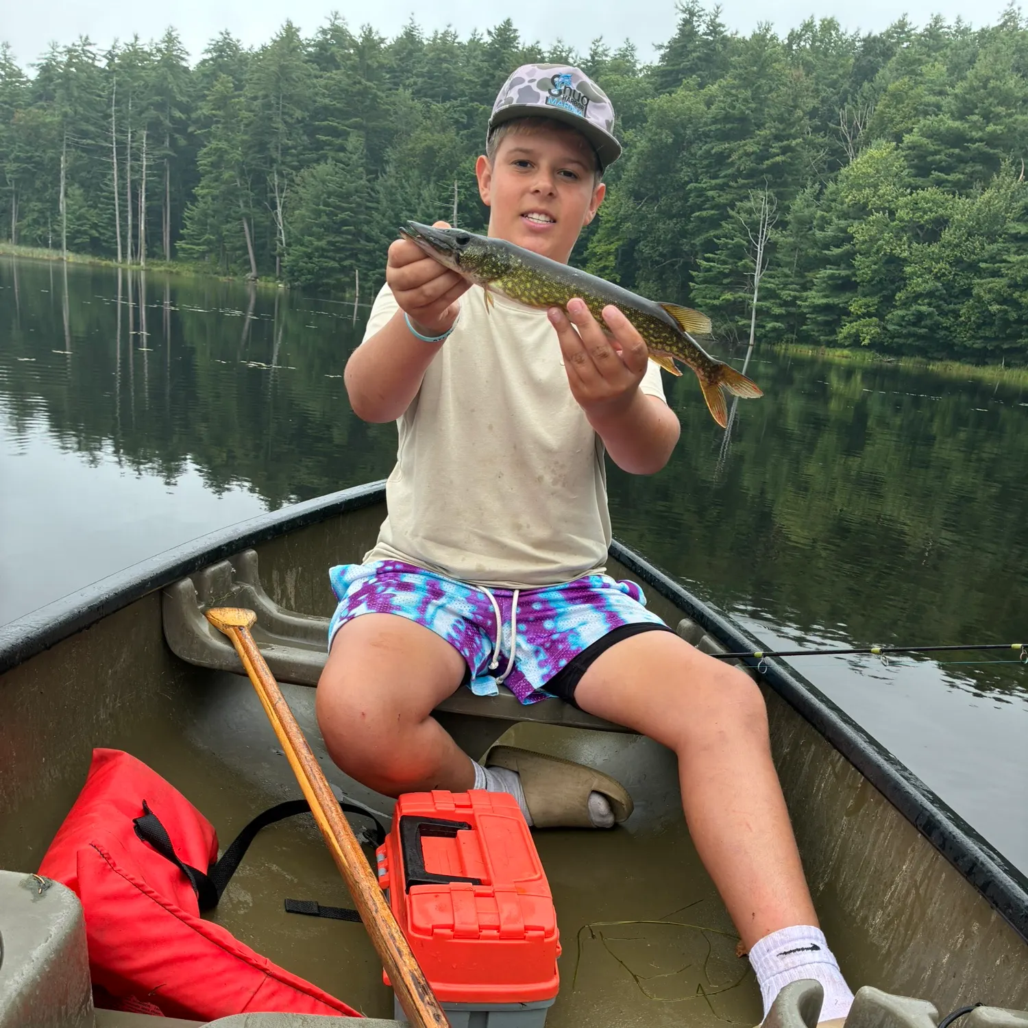 Chain pickerel caught on Fishbrain