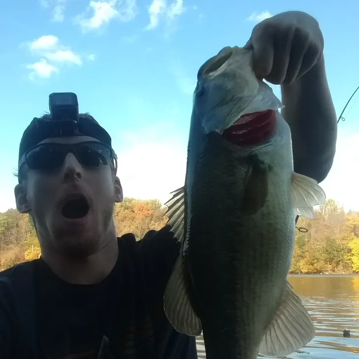 angler catch