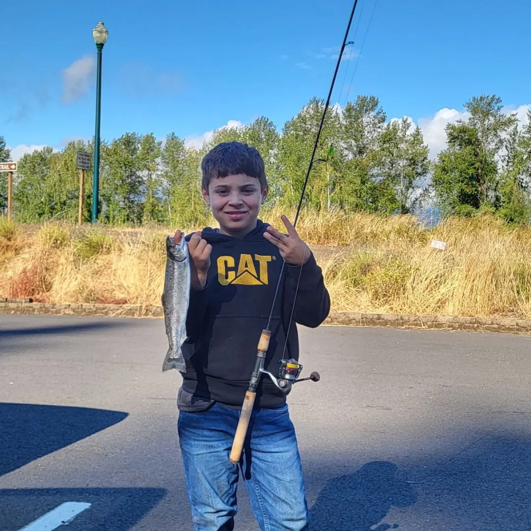 Rainbow trout caught on Fishbrain