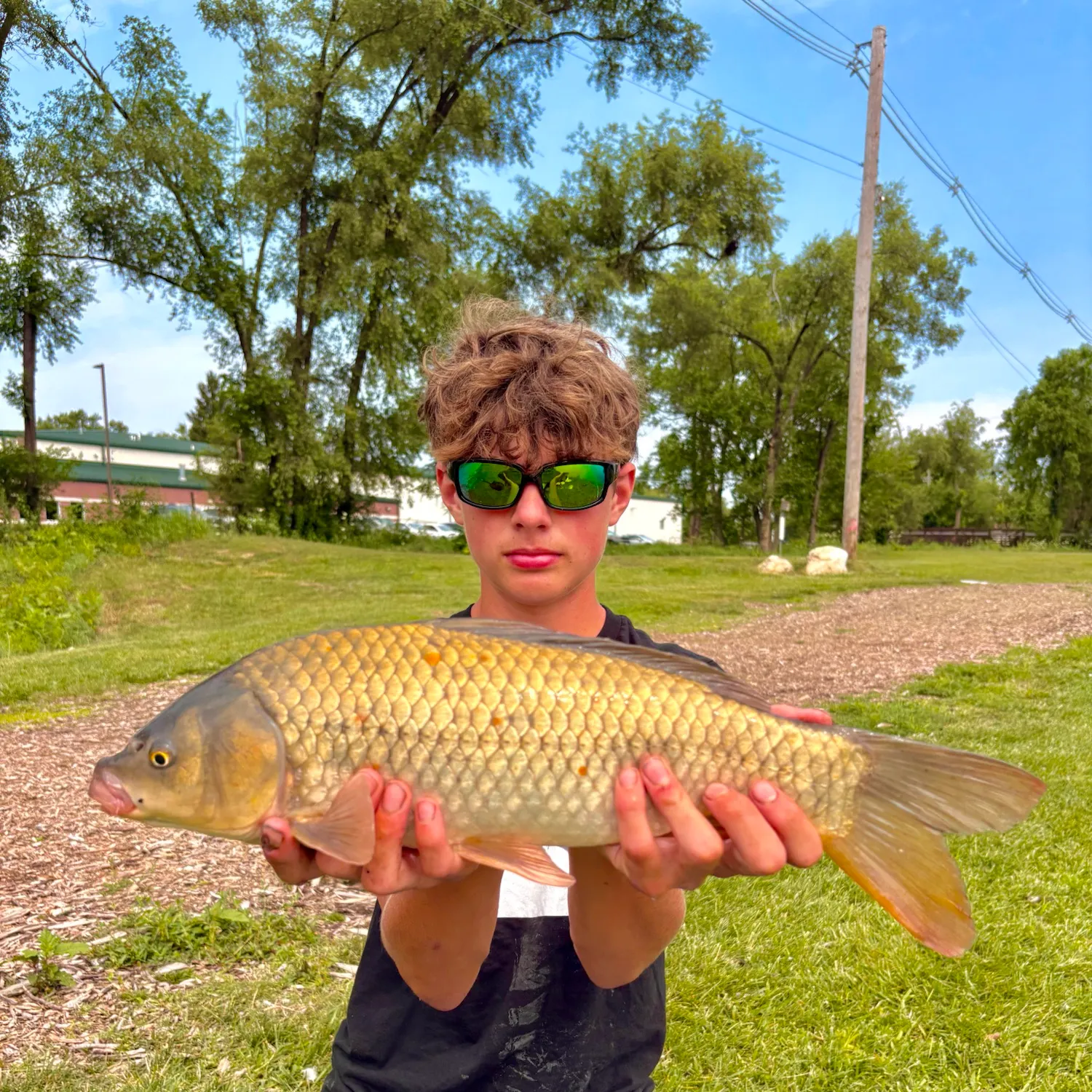 The most recent F1 carp catches on Fishbrain