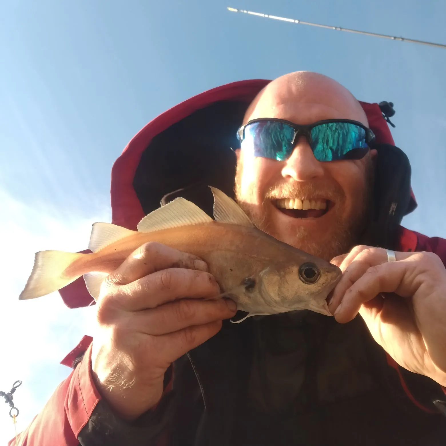 The most recent Pouting catches on Fishbrain