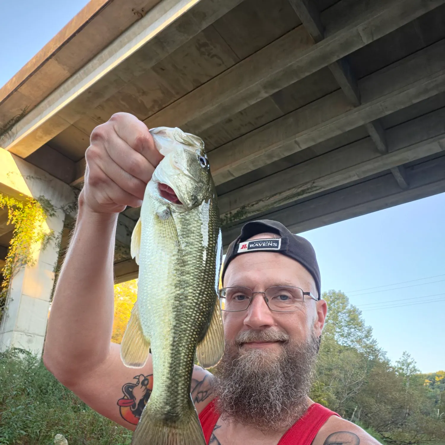 Largemouth bass caught on Fishbrain