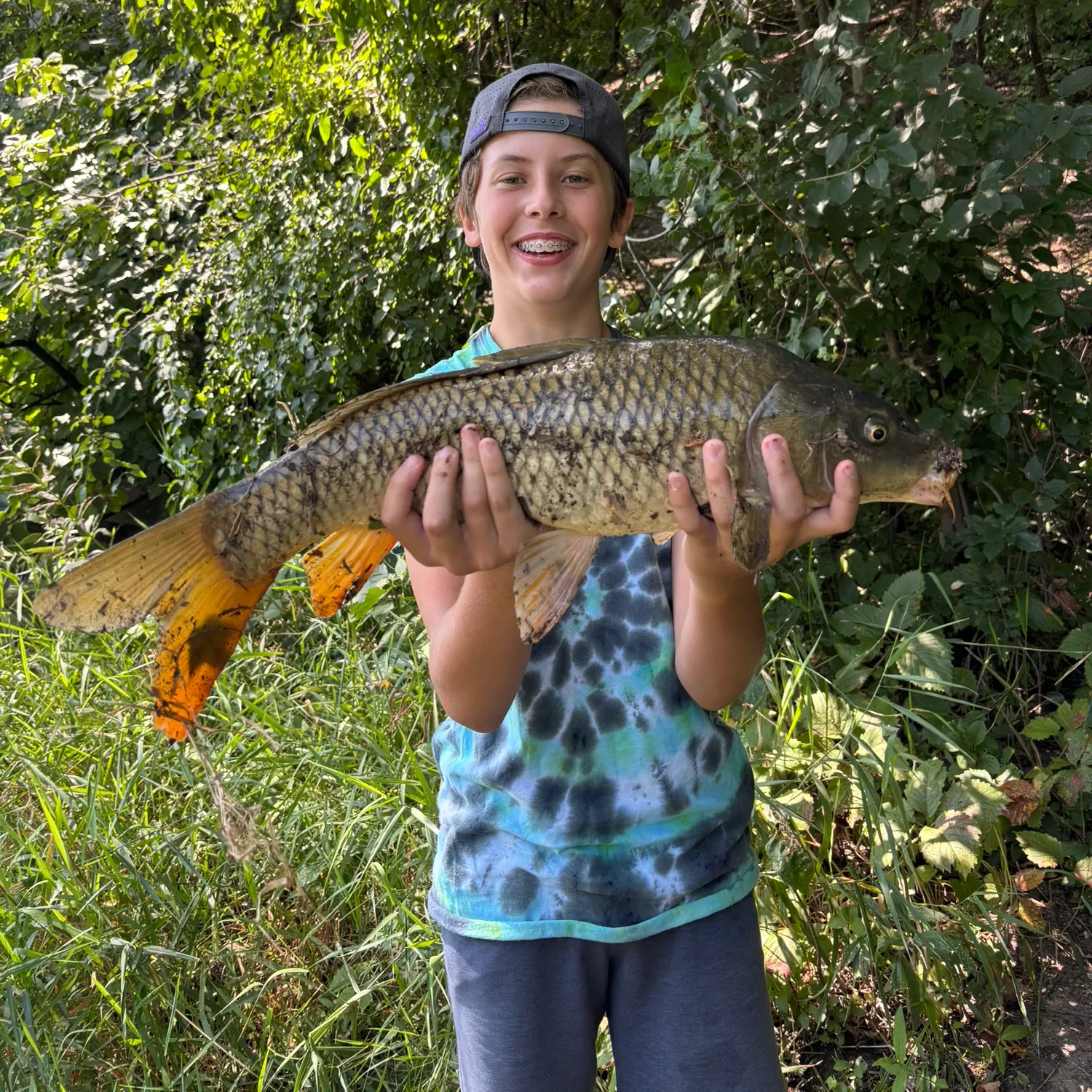Common carp caught on Fishbrain